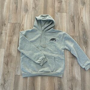 Grey hoodie with turtle graphics | Size M